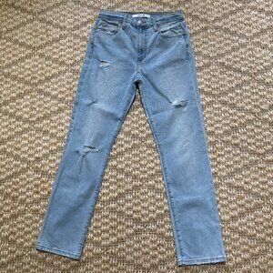 Joe's Jeans High Rise Straight Ankle Dundee